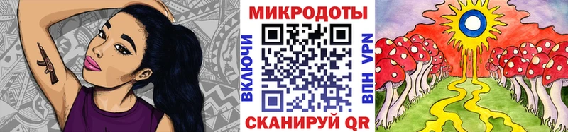 Псилоцибиновые грибы мухоморы  MEGA tor  Алейск  как найти закладки 