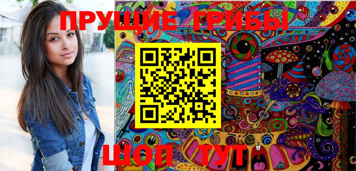 Псилоцибиновые грибы Psilocybe  Вход с VPN  Псилоцибиновые грибы Psilocybine cubensis  Алейск 